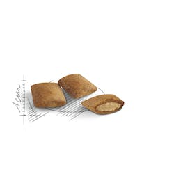 Royal Canin Gato Ageing 12+ 2 Kg