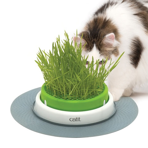 Catit Senses 2.0 Germinador Pasto