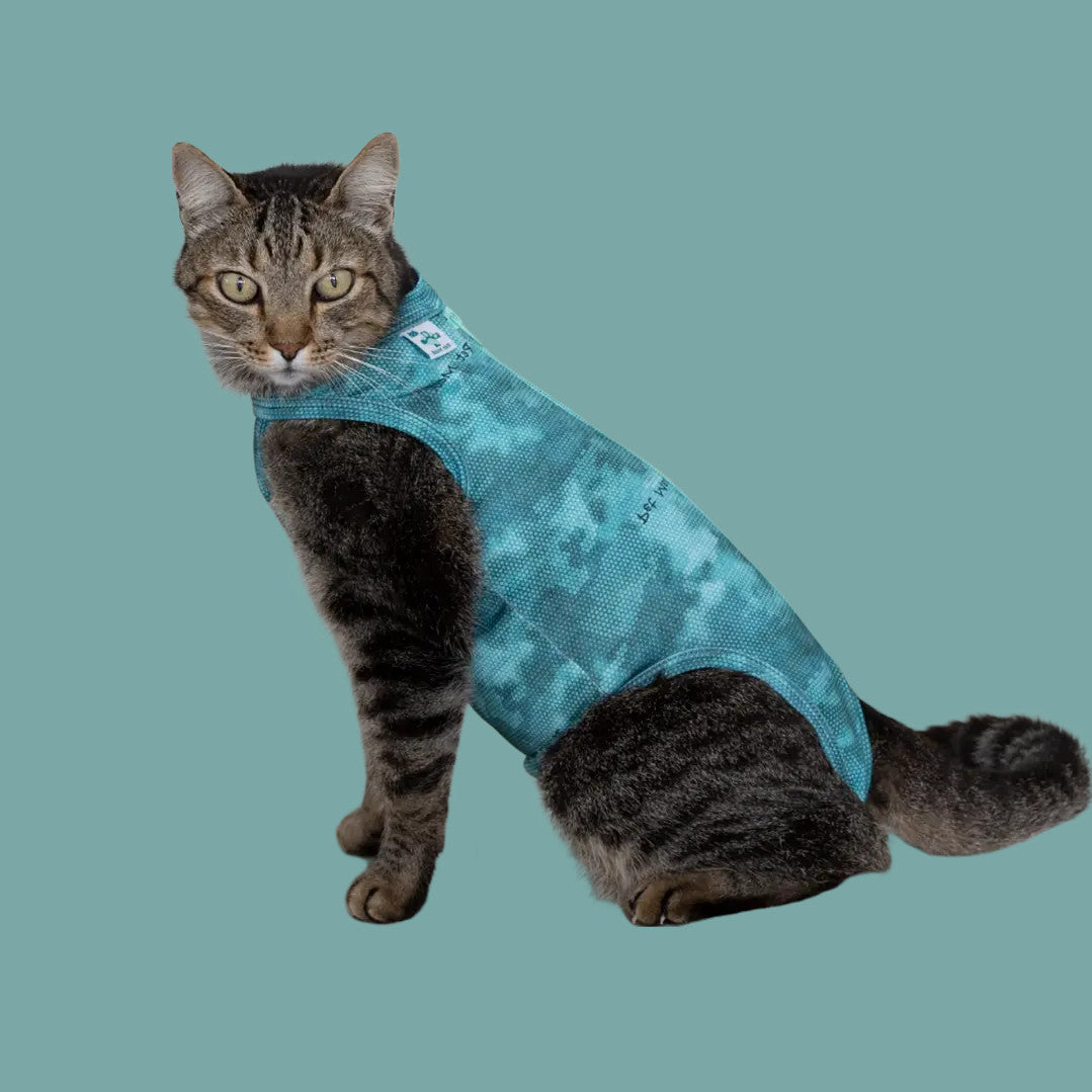Body Post Quirúrgico Gato PetMed