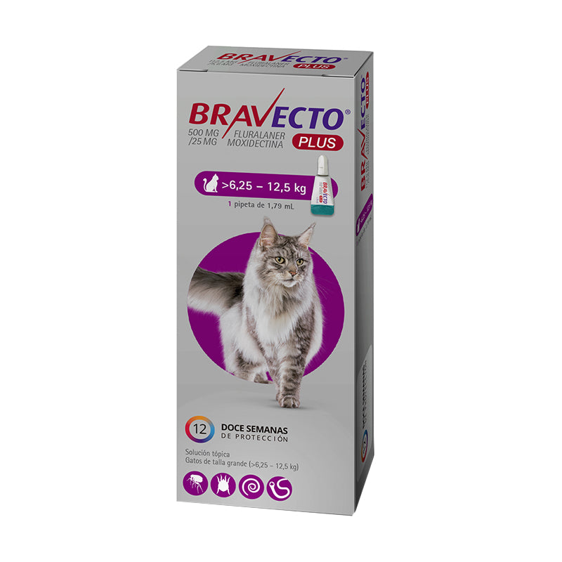 Bravecto Plus Gato 6,25 a 12,5 Kg