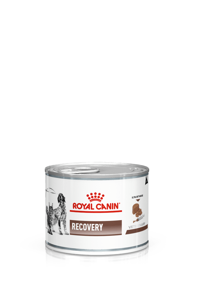 Royal Canin Recovery Lata