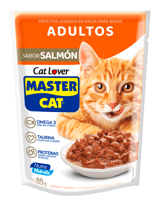 Master Cat Adulto Salmón Pouch