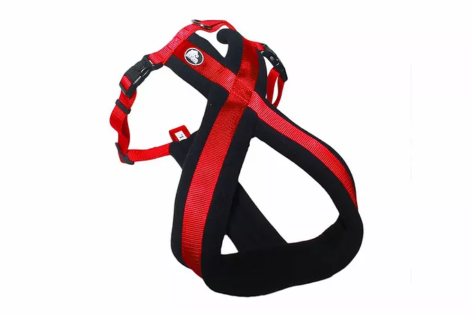 Arnes Cruzado Acolchado Large