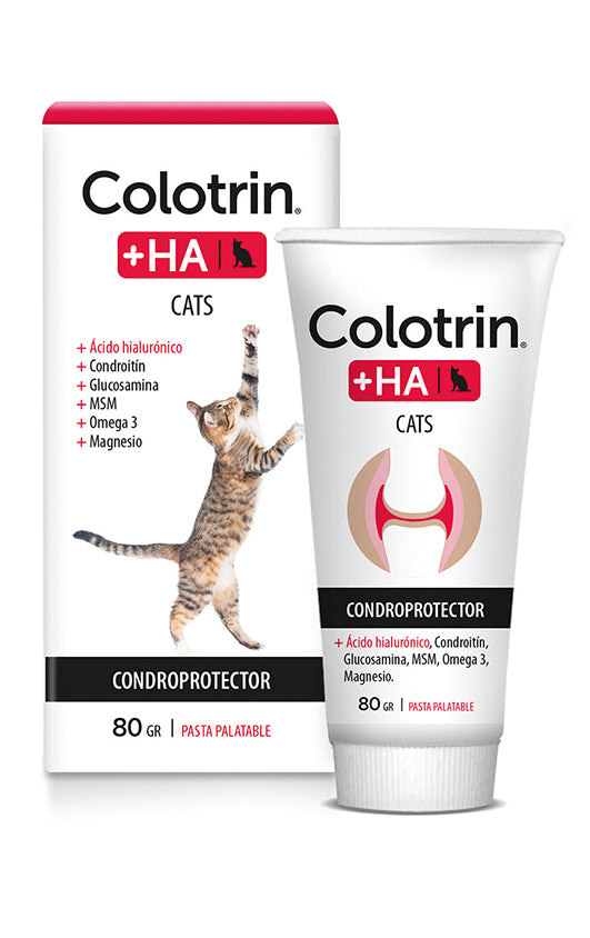 Colotrin HA Gato 80 Grs