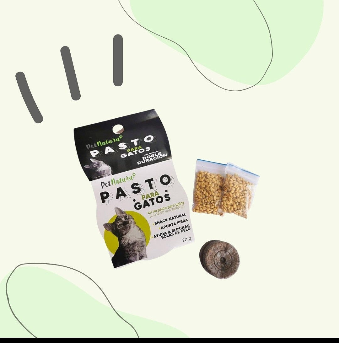 Pasto Gatos PetNatura