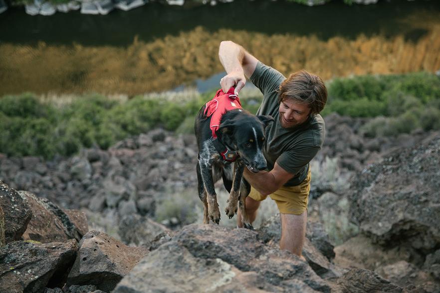 Ruffwear Web Master Dog Harness L/XL