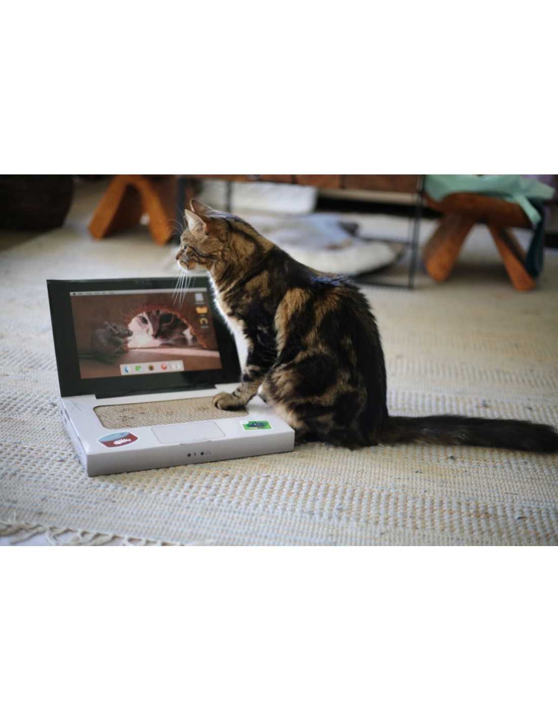 Rascador Catbook Brnx