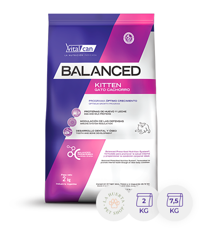 Vitalcan Balanced Gato Kitten