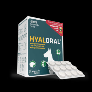 hyalORAL Razas Grandes y Gigantes