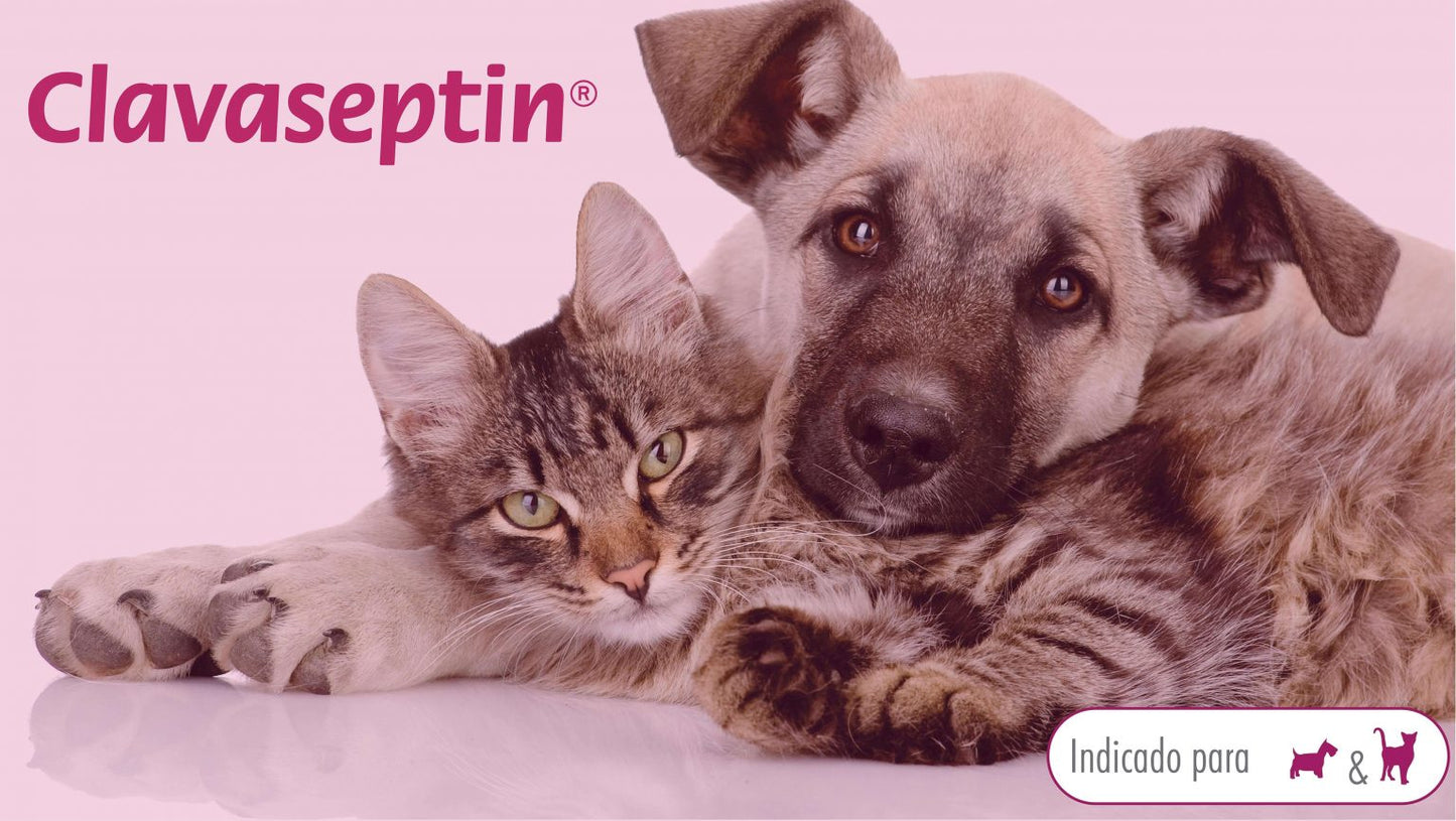 Clavaseptin 50 mg 10 Comprimidos