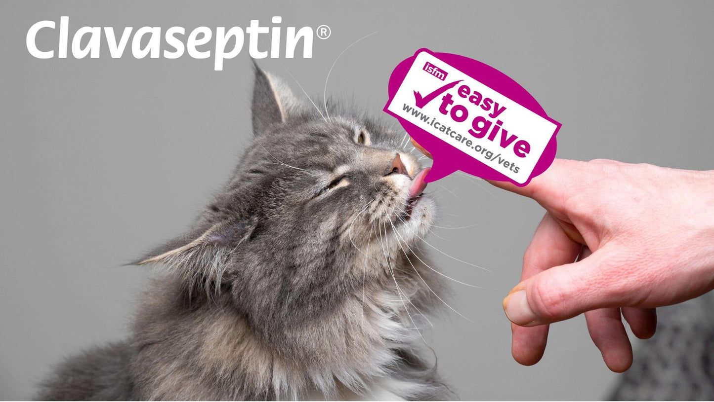 Clavaseptin 500 mg 10 Comprimidos