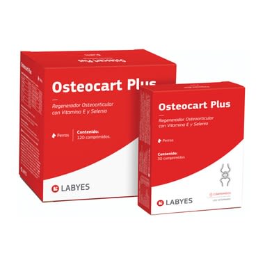 Osteocondral Plus