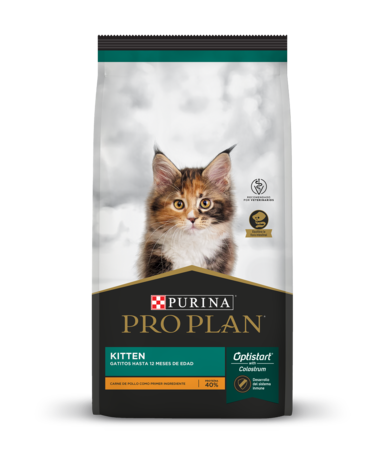 Pro Plan Kitten