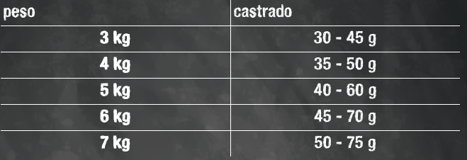 Leonardo Adult Light