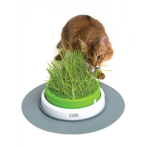 Catit Senses 2.0 Germinador Pasto