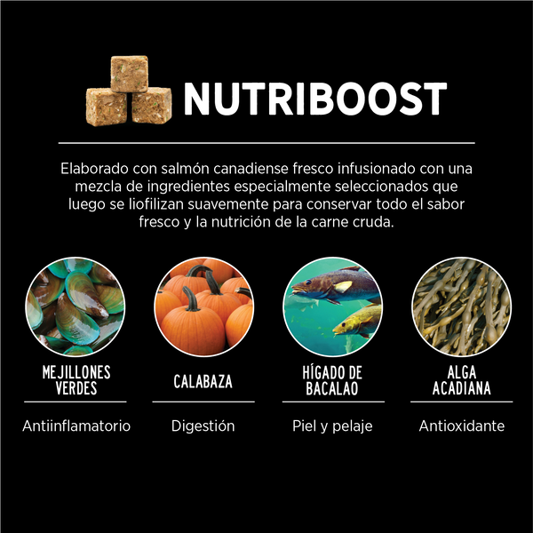 Nutrience Subzero Dog Canadian Pacific