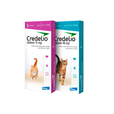 Credelio Gatos 1 Comprimido