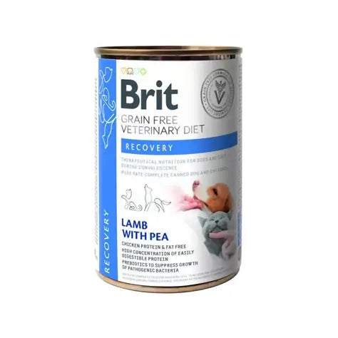Brit Recovery Lata