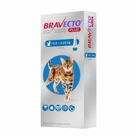 Bravecto Plus Gato 2.8 a 6.25 Kg