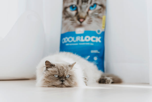 Arena Sanitaria Odour Lock 12 Kg