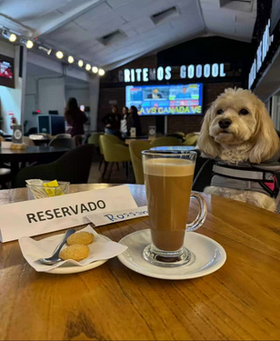Peluqueria Canina a Domicilio