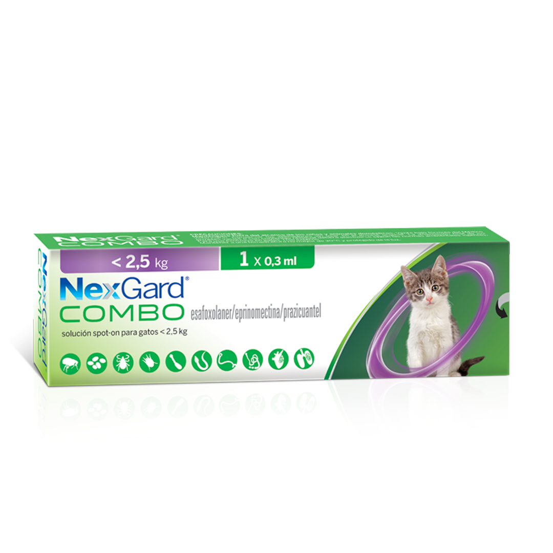 Nexgard Combo Gatos