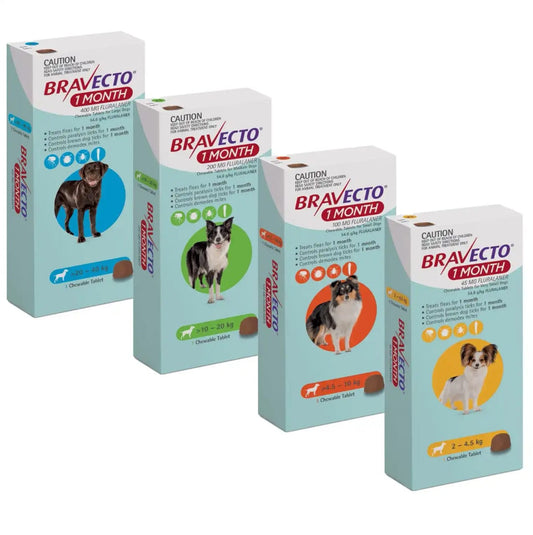 Bravecto Perros 1 Mes