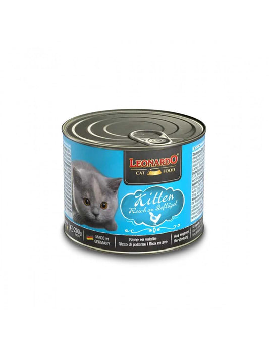 Leonardo Latas Kitten