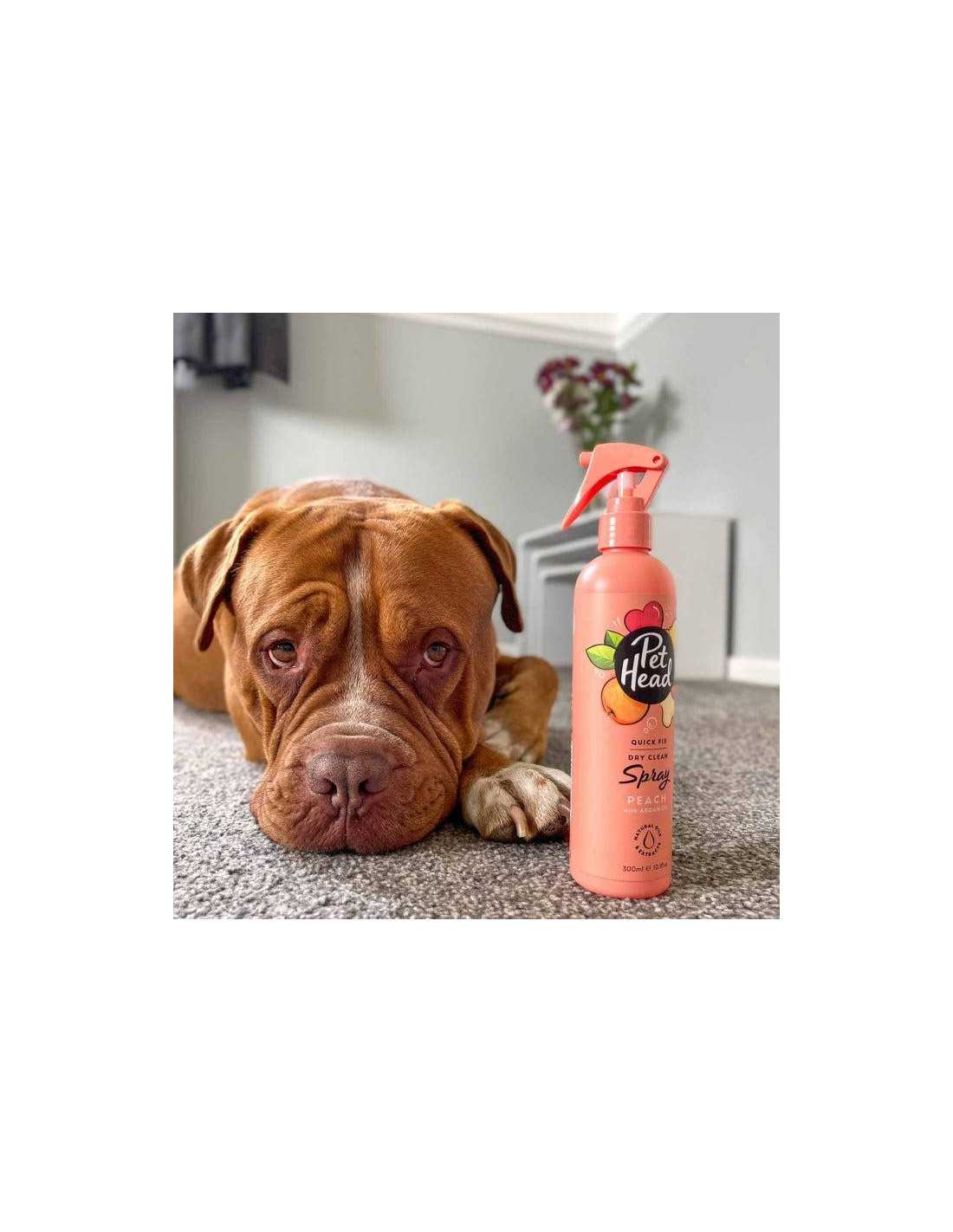 Spray Desodorante Pet Head Quick Fix 300 mL