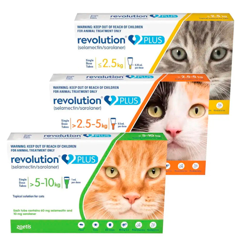 Revolution Plus Gato Antiparasitario Interno y Externo