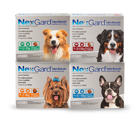 Nexgard Antiparasitario Comprimidos