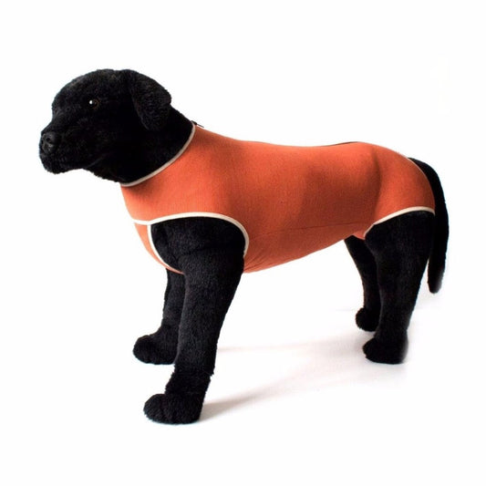 Body Cobre Kimba Vet