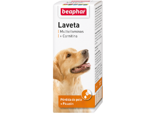 Laveta Carnitina 50 Ml