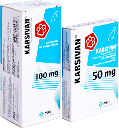 Karsivan Comprimidos
