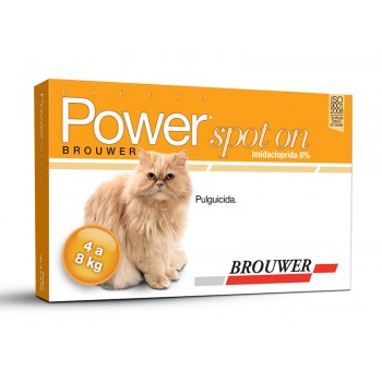 Power Spot On Gatos