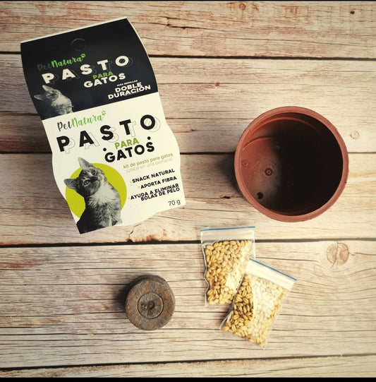 Pasto Gatos PetNatura