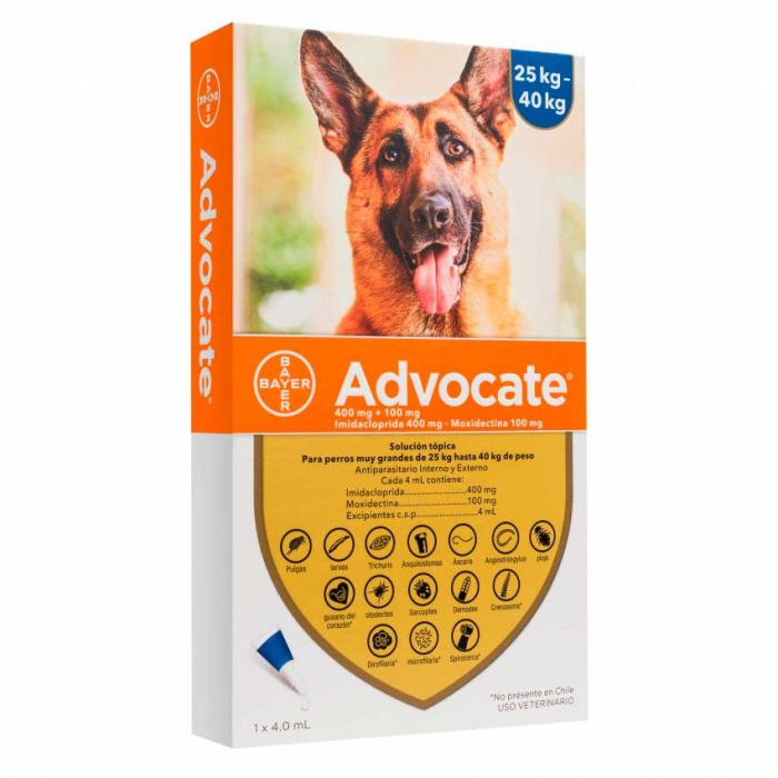 Advocate Perros