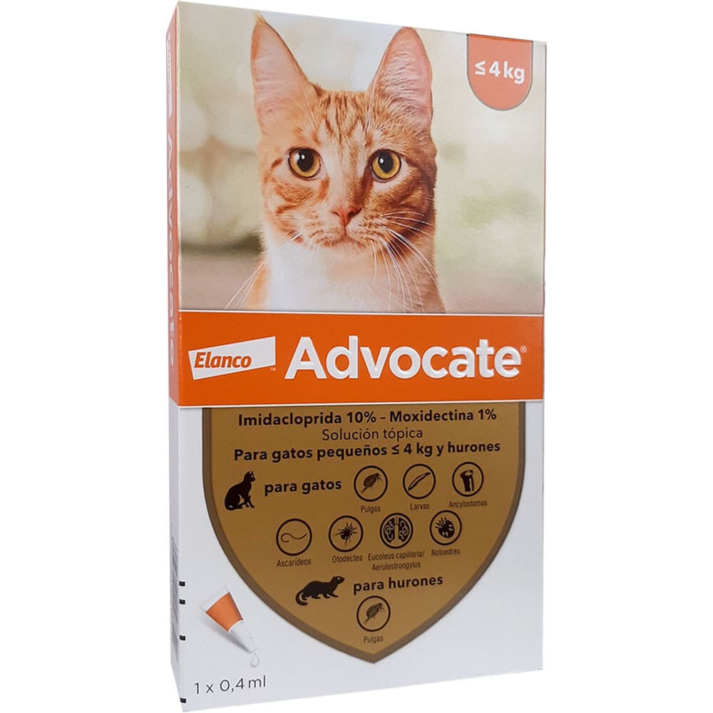 Advocate Gatos