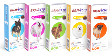 Bravecto Antiparasitario Externo Perro