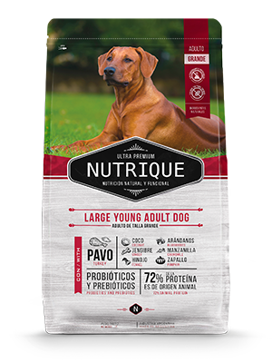 Nutrique Adult Dog Large 15 Kg