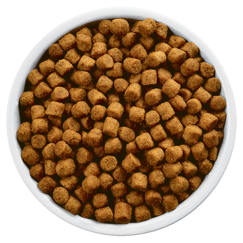 Hills Prescription Diet j/d Canine