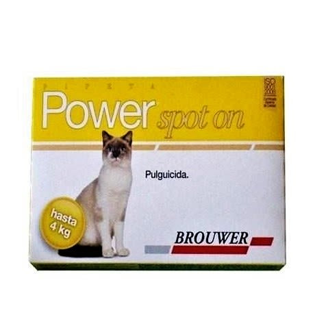 Power Spot On Gatos