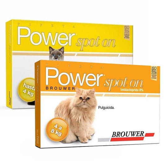 Power Spot On Gatos