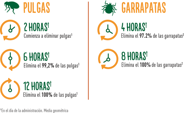 Credelio Perro 22 a 45 Kilos