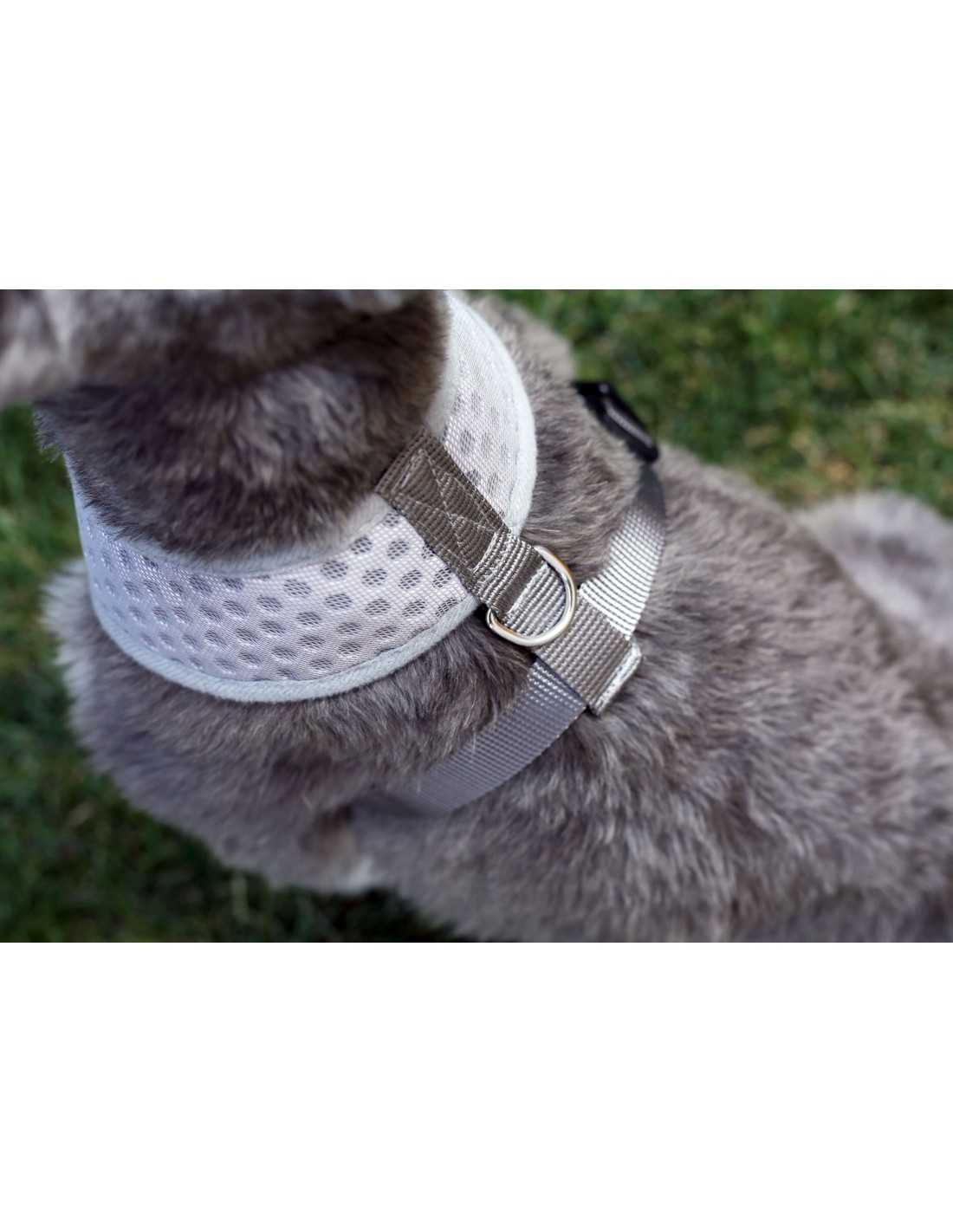 Arnes Outdoor HEY! M