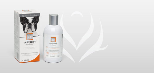 Shampoo Cosmetico Labyderm Skin Soldier